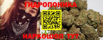 прущая мука Дубна