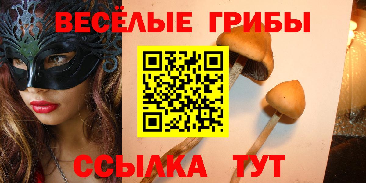Галлюциногенные грибы прущие грибы  Вход с VPN  Галлюциногенные грибы прущие грибы  Нижний Тагил 